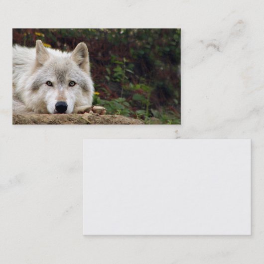 材木オオカミの凝視 名刺 (正面/裏面)