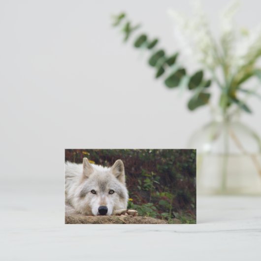 材木オオカミの凝視 名刺 (スタンド正面)