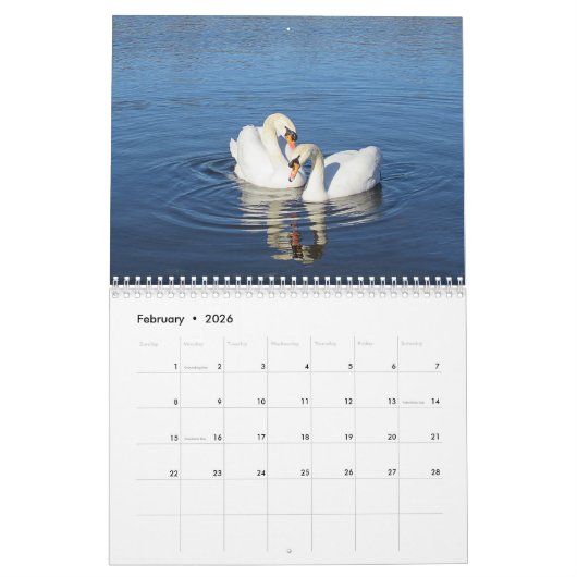 村のスワンファミリー写真カレンダー カレンダー (2月 2026)