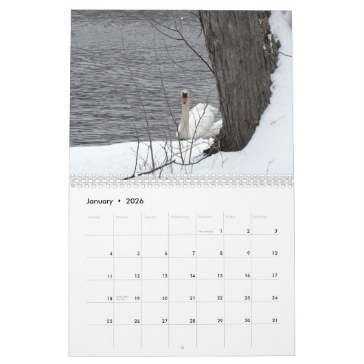村のスワンファミリー写真カレンダー カレンダー (1月 2026)