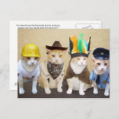 村の猫ちゃん ポストカード (正面/裏面)