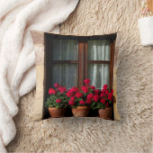 村の窓花ポット クッション (ブランケット)