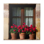 村の窓花ポット タイル (正面)