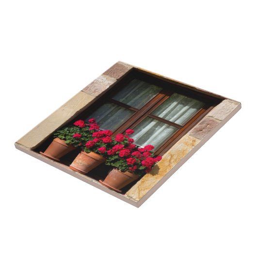 村の窓花ポット タイル (側面)