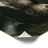 村の総食べ的な光沢ポスター ポスター (コーナー)