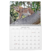 村鳥および野性生物のカレンダー カレンダー (1月 2027)