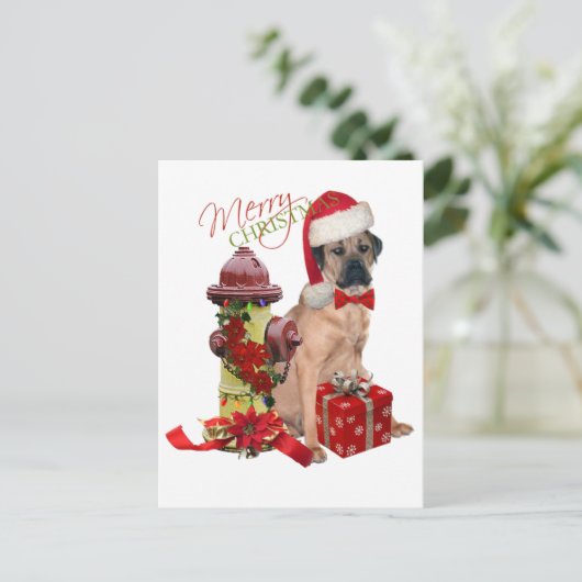 杖のコルソのメリークリスマス シーズンポストカード (スタンド正面)