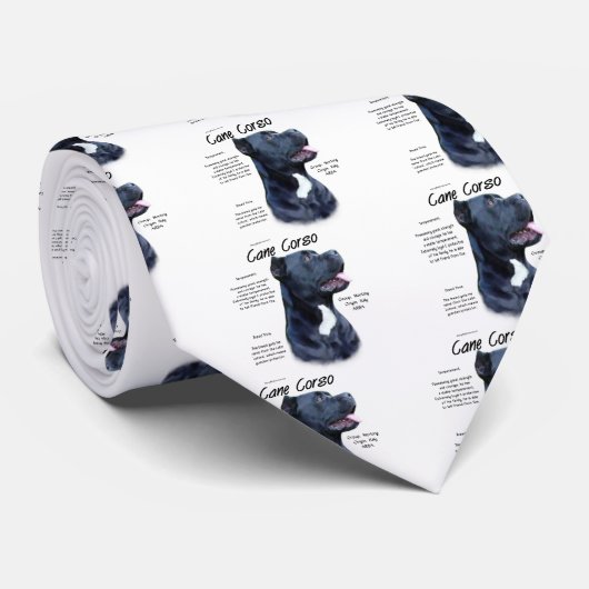 杖のコルソの歴史 ネクタイ (ロール)