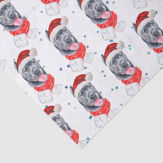 杖のコルソ犬がクリスマススターを育てる 薄葉紙 (詳細)