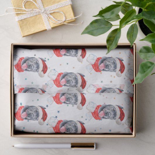 杖のコルソ犬がクリスマススターを育てる 薄葉紙 (ギフト)