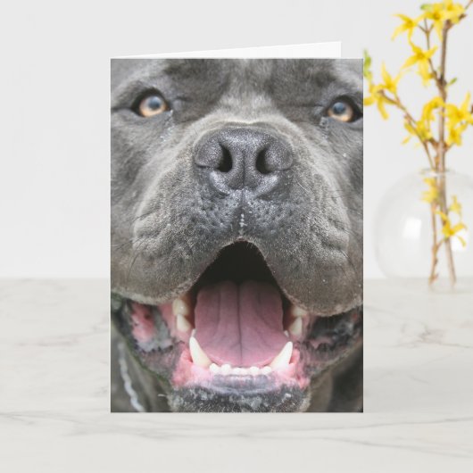 杖のCorsoの挨拶状の写真 カード (黄色い花)