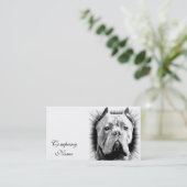 杖のCorso犬 名刺 (スタンド正面)