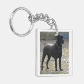 杖のcorso full.png キーホルダー (正面左)