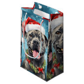 杖コルソクリスマスブラシ絵画のアートワーク スモールペーパーバッグ (正面アングル)