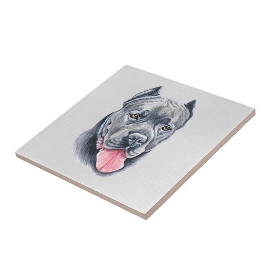 杖コルソタイル タイル (側面)