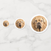 杖コルソ3D インスパイア コンフェッティ (裏面)