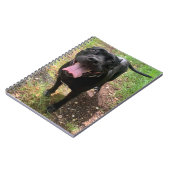 杖コルソX手帳 ノートブック (左側)