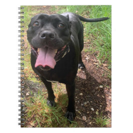 杖コルソX手帳 ノートブック