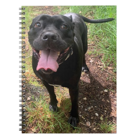 杖コルソX手帳 ノートブック (正面)