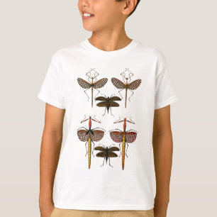 杖、Katydidsおよびトンボ Tシャツ