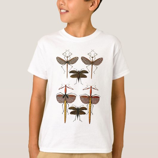 杖、Katydidsおよびトンボ Tシャツ (正面)