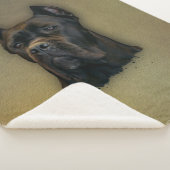 杖Corso -イタリアンなマスティフ シェルパブランケット (3/4)