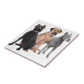 杖Corso 3 タイル (側面)