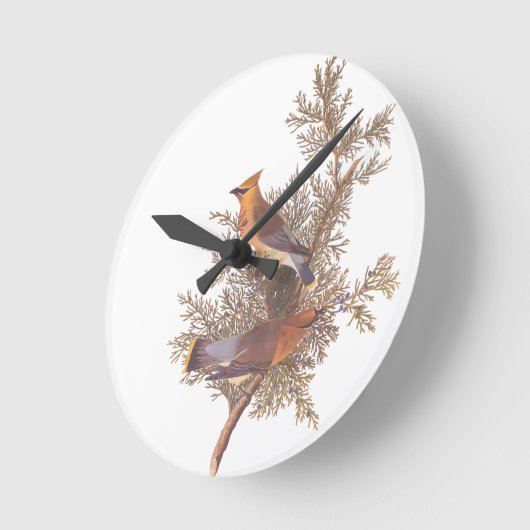 杜松の木のAudubonのヒメレンジャクの鳥の組 ラウンド壁時計 (傾斜)