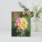 束カラフル束 ポストカード (スタンド正面)