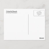 束カラフル束 ポストカード (裏面)