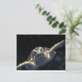 『来お前の番だ』 ポストカード (スタンド正面)