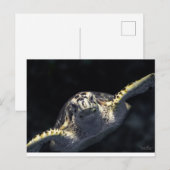 『来お前の番だ』 ポストカード (正面/裏面)