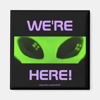 来たぞ！ v2磁石 マグネット