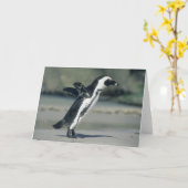 来ているアフリカのペンギン、(Spheniscusのdemersus) カード (黄色い花)