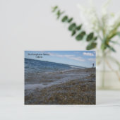 来てほしい！ ポストカード (スタンド正面)