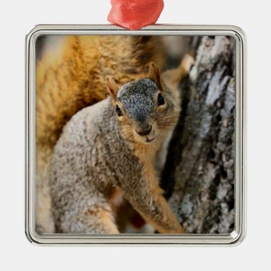 来ないの？ メタルオーナメント (正面)