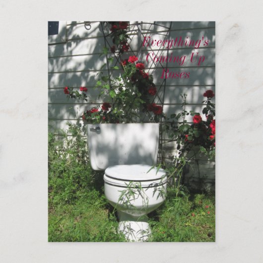 来のUpバラ ポストカード (正面)