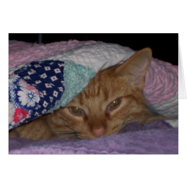 "来られた抱擁"の毎日カード (正面横)