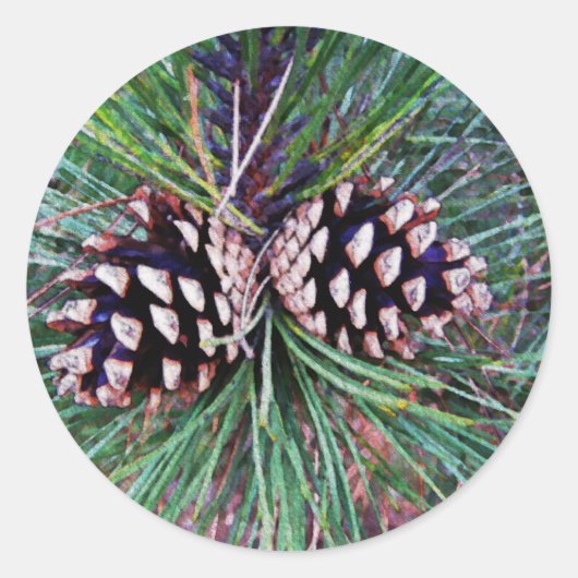 来られる冬のマツ ラウンドシール (正面)