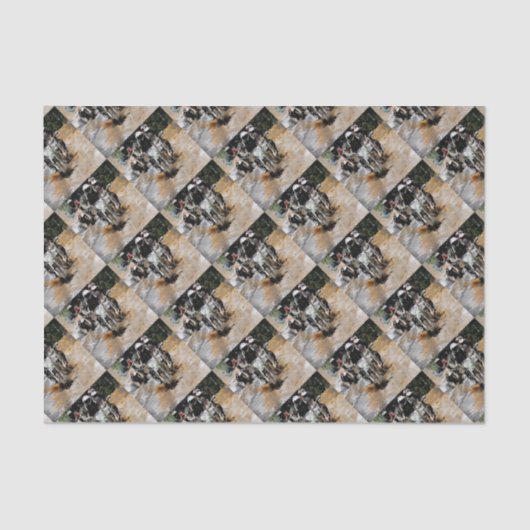 来るぞ！ – モトクロス・レーサー 薄葉紙 (正面)