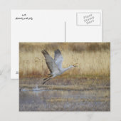 来一緒に行く ポストカード (正面/裏面)