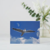 来一緒に飛ぶ ポストカード (スタンド正面)