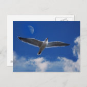 来一緒に飛ぶ ポストカード (正面/裏面)