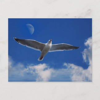 来一緒に飛ぶ ポストカード