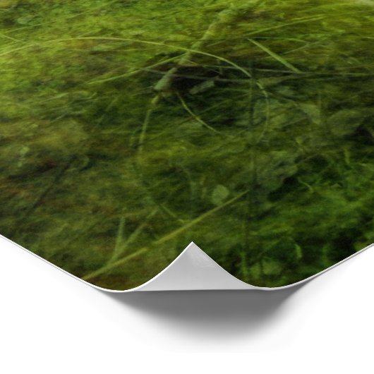 来家 ポスター (角)