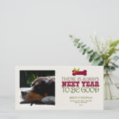 来年-ペットよいがあることが常にあります シーズンカード (スタンド正面)