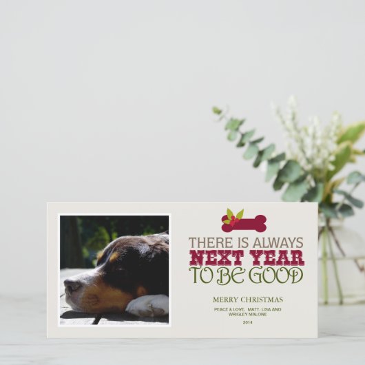 来年-ペットよいがあることが常にあります シーズンカード (スタンド正面)