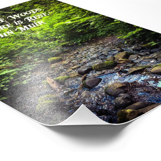 来森へ フォトプリント            (角)