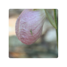 来訪虫付きレディースリッパ花 メタルプリント