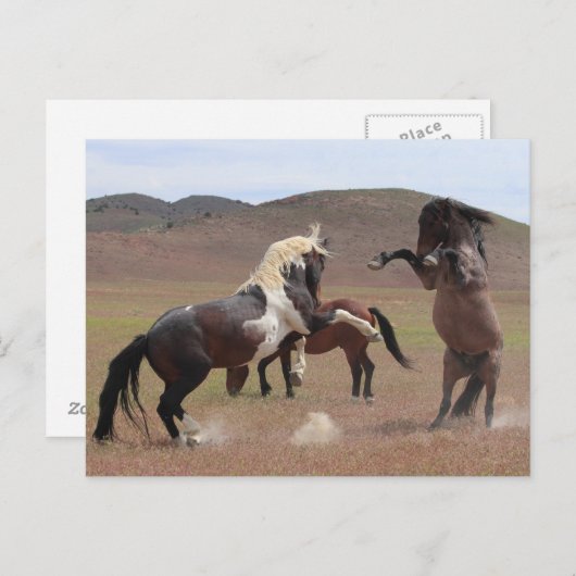 来買う ポストカード (正面/裏面)